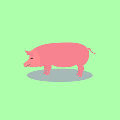 Pig Animal Cartoon Flat Vector