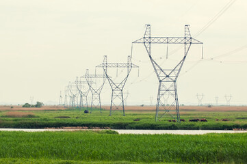 High voltage line with electricity pylons surrounded by cultivated fields.