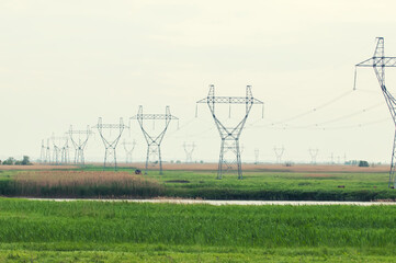 High voltage line with electricity pylons surrounded by cultivated fields.