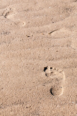 The footprint of a man's foot on wet sand.