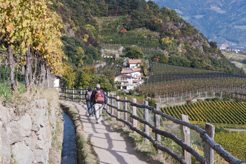 Fototapeta na wymiar wandern am Waalweg im Vinschgau (Südtirol )