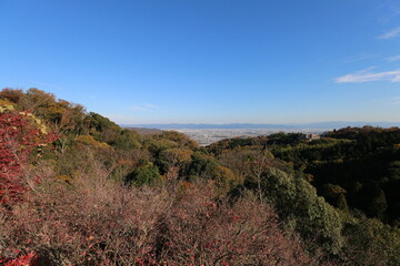 信貴山から見た奈良盆地