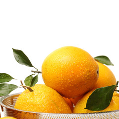 Orange fruit on the white background