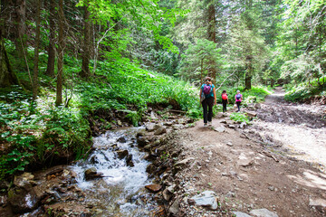 Obraz premium Family walking by forest creek. Mother with daughters hiking on summer day.