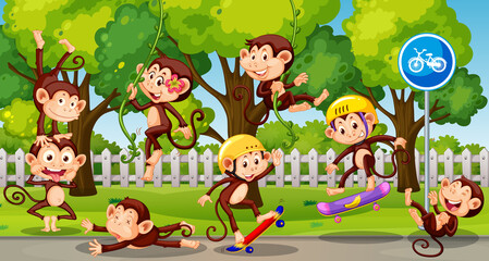 Little monkeys playing at the park