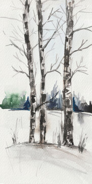 Watercolor winter landscape, three birches in the middle of a snow-covered field against the background of a forest belt.