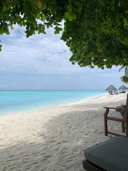 A view from under the branches of a tree to the coast of the Indian Ocean with white sand, azure water, sun loungers and awnings standing on the beach, under which people in the Maldives relax