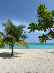 View of burbots and the Indian Ocean coast with white sand and azure water in the Maldives