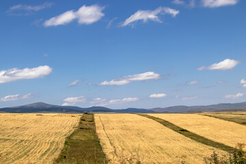 Fototapeta na wymiar landscape fields with sky and clouds