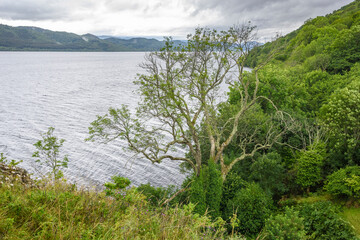 Fototapeta na wymiar view of Loch Ness in Scotland