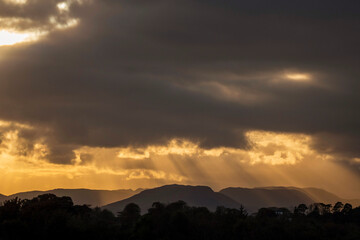 Silhouette of a trees stunning against dramatic cloudy sky. Sunset time. Warm and cool colors. Beams of light shining through clouds.