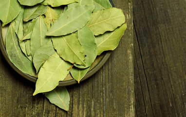 Bay leaf close-up on a ceramic plate. Wooden table.