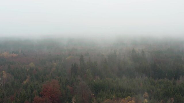 Misty morning over a forest in the fall season - drone shot in 4K.