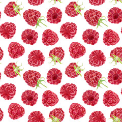 Seamless pattern with watercolor raspberries isolated on white background. Hand drawn watercolor illustration.