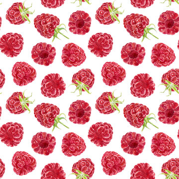 Seamless pattern with watercolor raspberries isolated on white background. Hand drawn watercolor illustration.