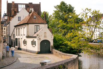 Fototapeta na wymiar Paisaje de una casa en un río con un árbol. Brujas, Bélgica. 