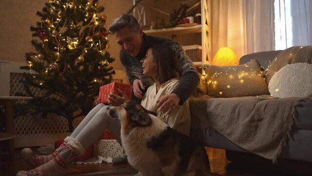 family celebrating Christmas with their cute Corgi dog at festive decorated cozy house. happy smiling woman getting red gift box from loving man on New Year celebration at home