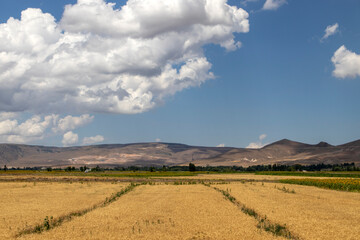 Fototapeta premium landscape with clouds