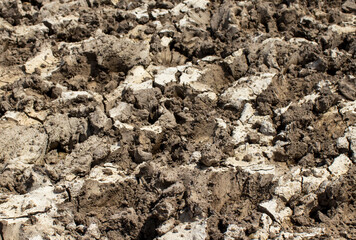 close up of soil