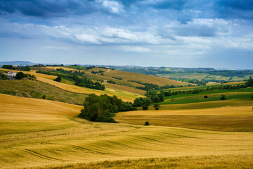 Rural landscape near Santa maria Nuova and Osimo, Marche, Italy