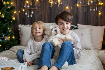Happy family with children and pet dog, enjoying Christmas time together, celebrating