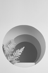White scene with podium, fern leaves, round frames or arches with perspective, light, shadow, stage template in fashion abstract garden style for presentation, display, showing of products, vertical.