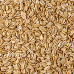 Rolled oat, oat flakes background or texture. Close up, directly above.Heap of dry rolled oats isolated.