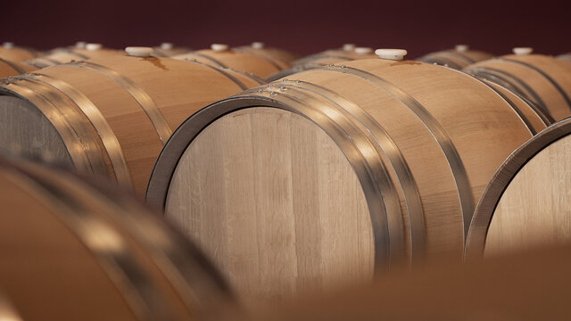Wooden wine barrels in the cellar