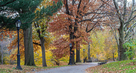 Autumn in Central Park landscape