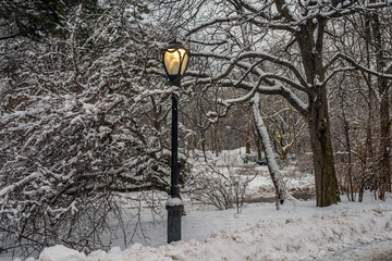 Central Park in winter after snow storm