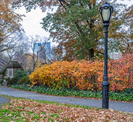 Autumn in Central Park