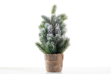 Christmas tree in a pot on a white background