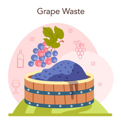 Wine production. Grape selection and processing. Grape berries