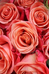 bouquet of roses
