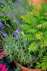 Outdoor flower pots for small garden