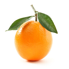 Orange fruit on the white background