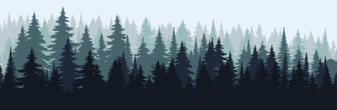 Vector mountains forest background texture, silhouette of coniferous forest, vector. Winter season trees covered in snow, spruce, fir. Horizontal landscape. © Tati. Dsgn