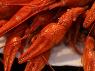 Close-up shot of boiled red crayfish