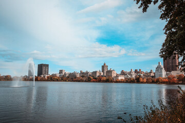 Fototapeta premium central park