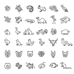 Animal icons. vector outline icon set. Zoo