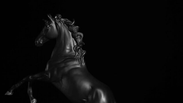 footage of horse dark background