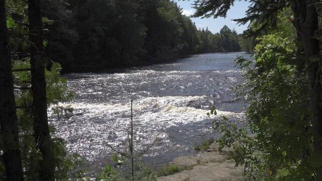 River from the Tahquamenon Falls in Upper Peninsula of Michigan; medium long view of river between green trees, sunlight on the rushing water. 