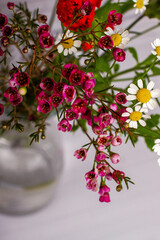 Fototapeta na wymiar red small flowers and chamomile stands in a vase on a gray background