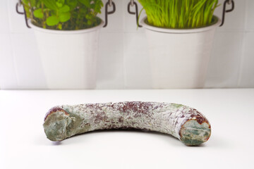 Moldy food, sausage covered with white and green mold. Food waste concept. Moldy food on a white...