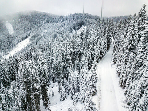 Drone view on trees covered with snow in Styria, Austria