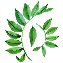 Topical green leaves watercolor illustration on isolated white background © Hanna
