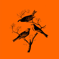birds on branches on a orange background