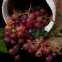 Grapes are the fruit of a woody grape vine. Grapes can be eaten raw, or used for making wine, juice, and jellyjam. Grapes come in different colours; red, purple, white. Fokus blur.