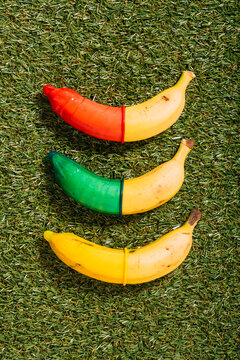 Bananas covered in multi colored condoms on grass