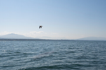 paysage l&eacute;manique